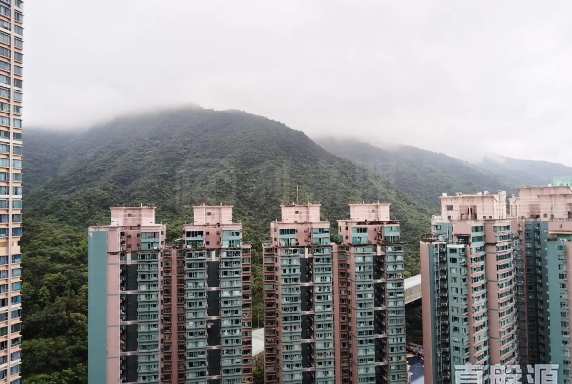銀湖．天峰 3座 - 28NTS – 香港北部都會區