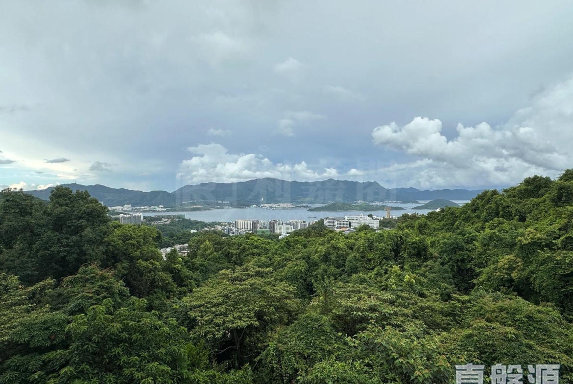 澐灃 2座 - 28NTS – 香港北部都會區