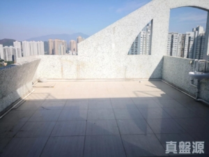 粉嶺名都 富臨閣 (6座) - 28NTS – 香港北部都會區