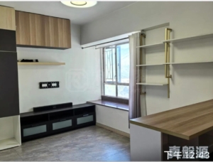 粉嶺中心 2期 L座 - 28NTS – 香港北部都會區