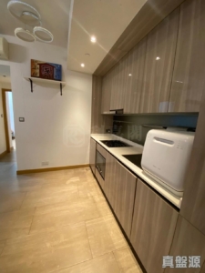 雲海 1期 Maple Court 2座 - 28NTS – 香港北部都會區
