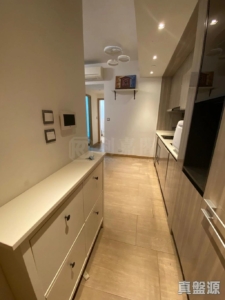 雲海 1期 Maple Court 2座 - 28NTS – 香港北部都會區