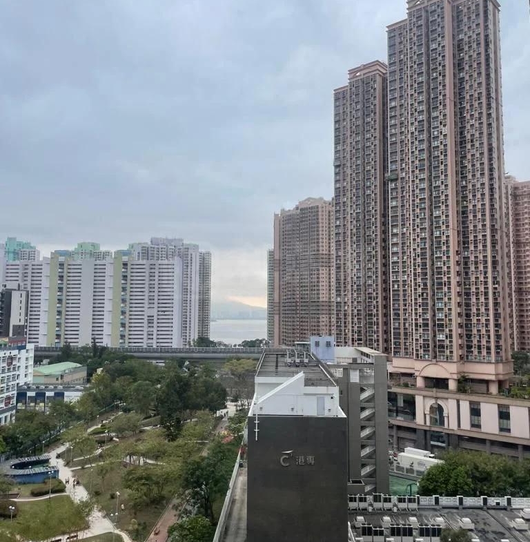 新港城 3期 P座 - 28NTS – 香港北部都會區