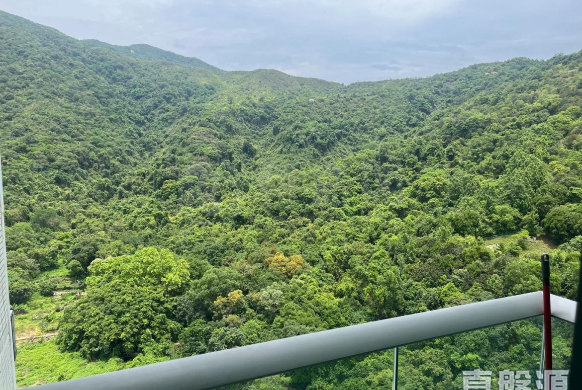 嵐山 1期 9座 - 28NTS – 香港北部都會區