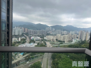 星凱．堤岸 5座 - 28NTS – 香港北部都會區