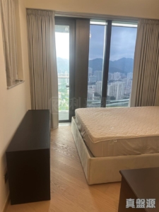 星凱．堤岸 5座 - 28NTS – 香港北部都會區