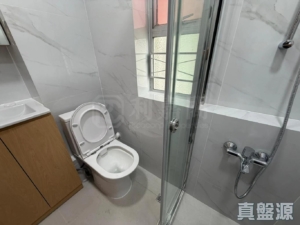 沙田中心 新寧大廈 (G座) - 28NTS – 香港北部都會區