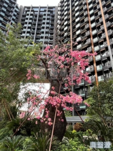 ONE INNOVALE 2期 C座 - 28NTS – 香港北部都會區