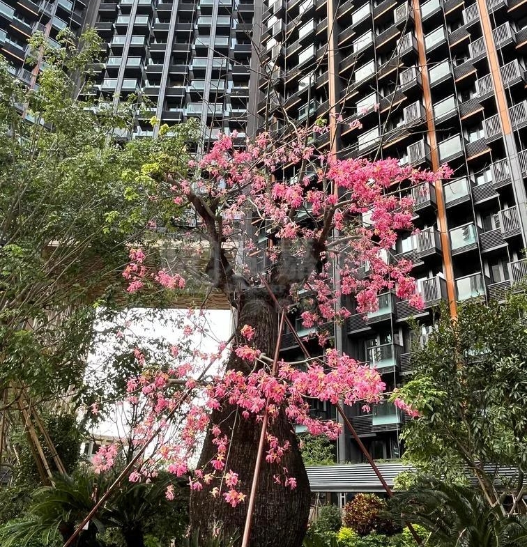 ONE INNOVALE 2期 C座 - 28NTS – 香港北部都會區