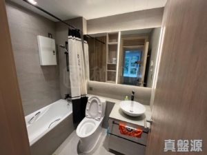晉名峰 B座 - 28NTS – 香港北部都會區