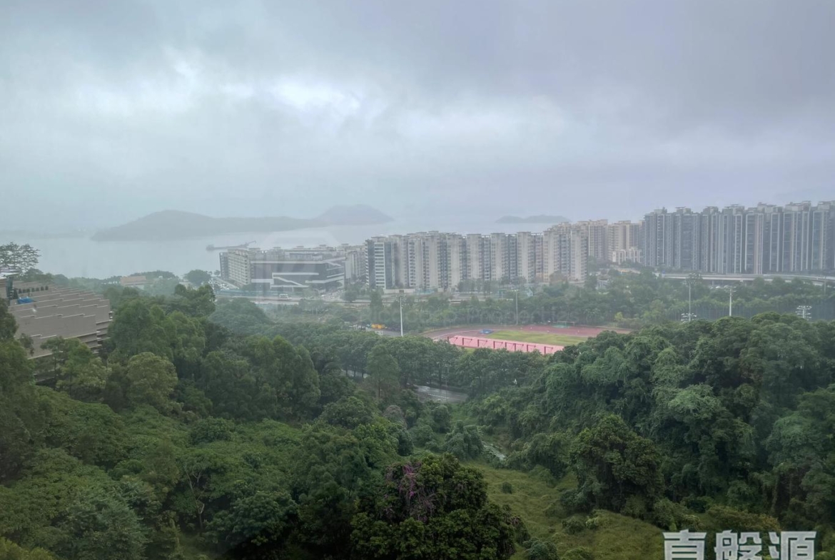 鹿茵山莊 鹿怡居 5座 - 28NTS – 香港北部都會區