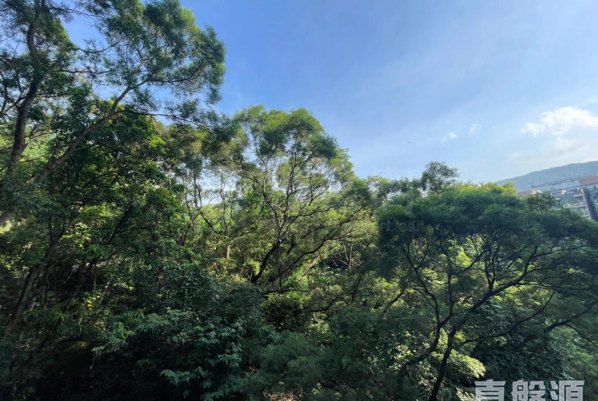 天鑽 13座 - 28NTS – 香港北部都會區