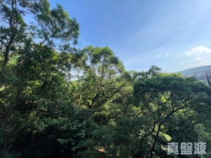 天鑽 13座 - 28NTS – 香港北部都會區