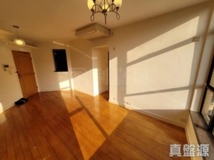 大埔寶馬山 7座 - 28NTS – 香港北部都會區