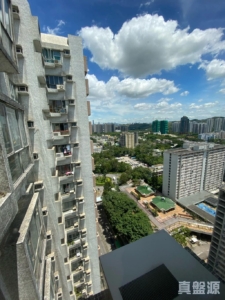 粉嶺名都 百利閣 (2座) - 28NTS – 香港北部都會區