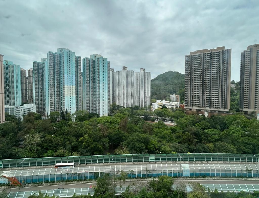 粉嶺中心 1期 E座 - 28NTS – 香港北部都會區
