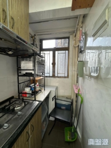 逸雅苑 逸欣閣 (B座) - 28NTS – 香港北部都會區