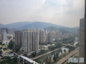 大埔中心 4期 7座 - 28NTS – 香港北部都會區