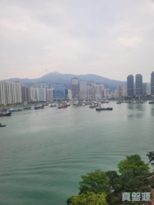 青泰苑 通泰閣 (D座) - 28NTS – 香港北部都會區