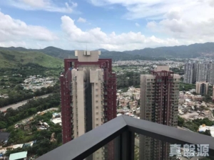 YOHO TOWN 2期 YOHO MIDTOWN 8座 - 28NTS – 香港北部都會區
