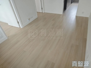 新基大廈 - 28NTS – 香港北部都會區