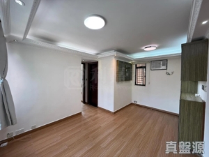 新元朗中心 1座 - 28NTS – 香港北部都會區