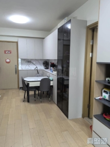 朗屏8號 3座 - 28NTS – 香港北部都會區