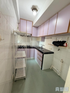 新元朗中心 2座 - 28NTS – 香港北部都會區
