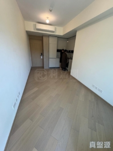 柏瓏 1A期 柏瓏 I 5座 - 28NTS – 香港北部都會區