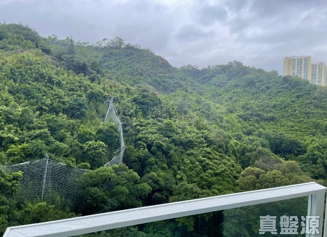 明翹匯 2A座 - 28NTS – 香港北部都會區