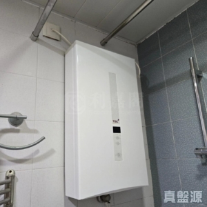 綠楊新邨 H座 - 28NTS – 香港北部都會區