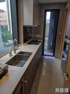 山水盈 3座 - 28NTS – 香港北部都會區