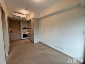 柏瓏 1A期 柏瓏 I 5座 - 28NTS – 香港北部都會區