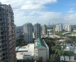 上水名都 柏林閣 (1座) - 28NTS – 香港北部都會區