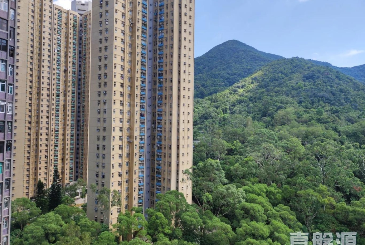 廣林苑 興林閣 (A座) - 28NTS – 香港北部都會區