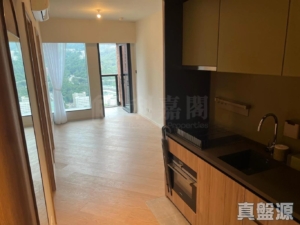 柏傲莊 3期 8座 (8B) - 28NTS – 香港北部都會區