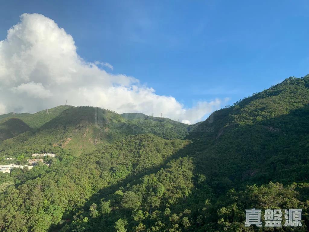 晉名峰 D座 - 28NTS – 香港北部都會區