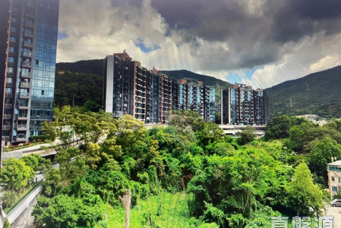 天鑽 3座 - 28NTS – 香港北部都會區