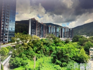 天鑽 3座 - 28NTS – 香港北部都會區