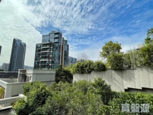 泓碧 5座 - 28NTS – 香港北部都會區