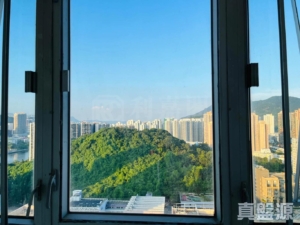 翠華花園 C座 - 28NTS – 香港北部都會區