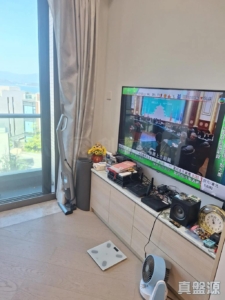 泓碧 5座 - 28NTS – 香港北部都會區