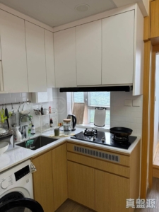 山麗苑 C座 - 28NTS – 香港北部都會區