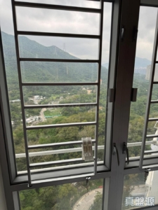 山麗苑 C座 - 28NTS – 香港北部都會區