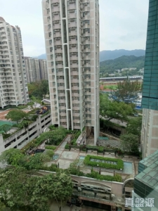 富萊花園 1期 銀菊閣 (1座) - 28NTS – 香港北部都會區