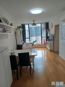 富萊花園 1期 銀菊閣 (1座) - 28NTS – 香港北部都會區