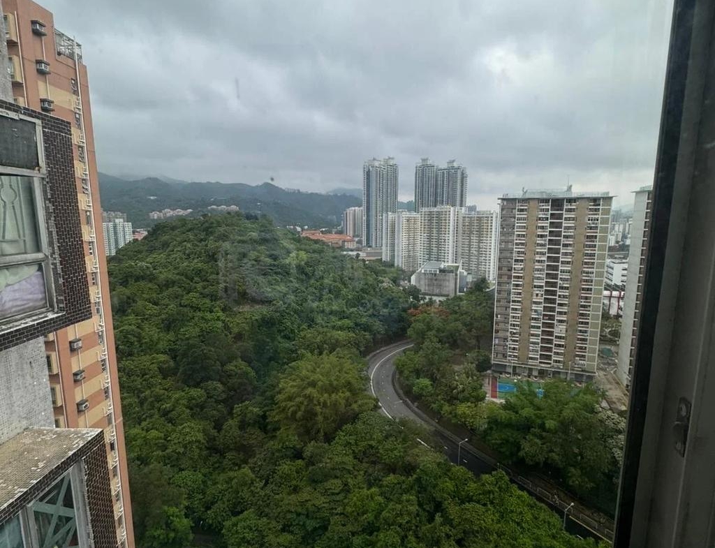 金獅花園 1期 金豐閣 (F座) - 28NTS – 香港北部都會區