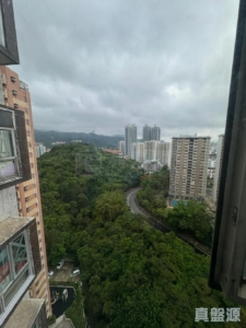 金獅花園 1期 金豐閣 (F座) - 28NTS – 香港北部都會區
