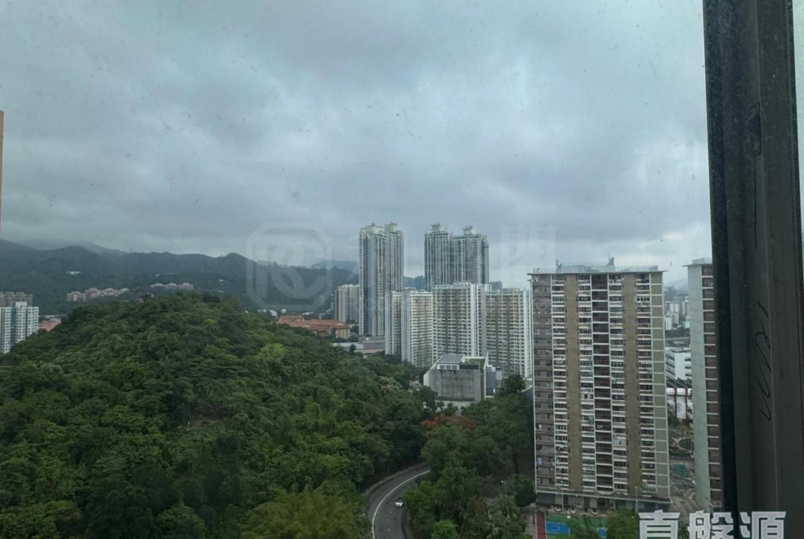 金獅花園 1期 金豐閣 (F座) - 28NTS – 香港北部都會區