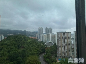 金獅花園 1期 金豐閣 (F座) - 28NTS – 香港北部都會區